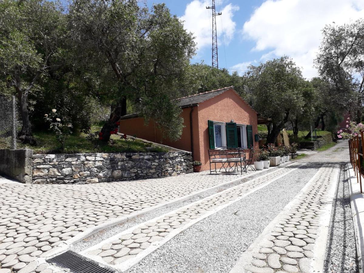 Tigullio Vacations Panoramica Apartments Lavagna Eksteriør billede