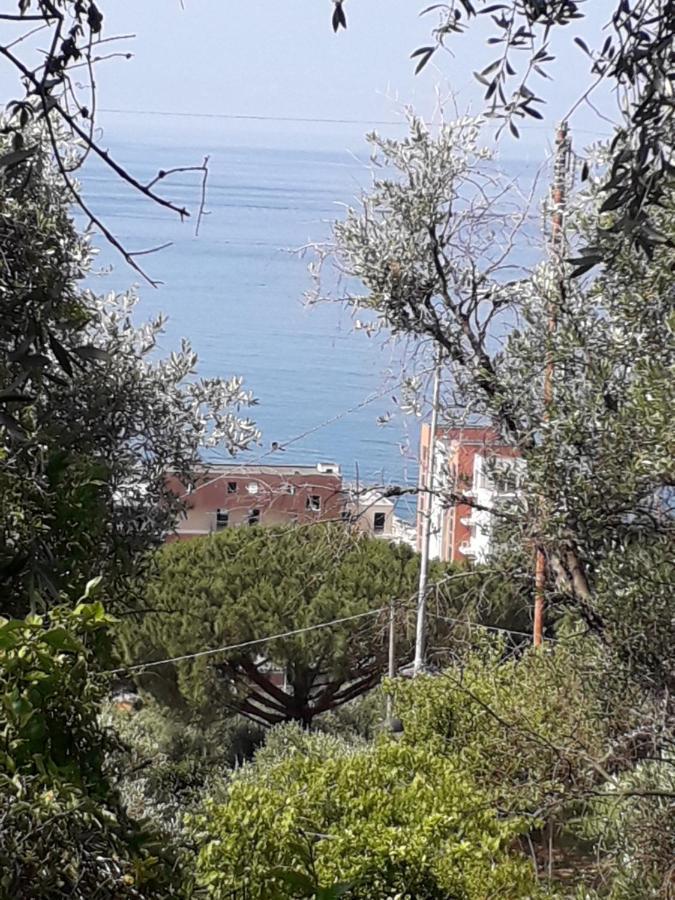 Tigullio Vacations Panoramica Apartments Lavagna Eksteriør billede