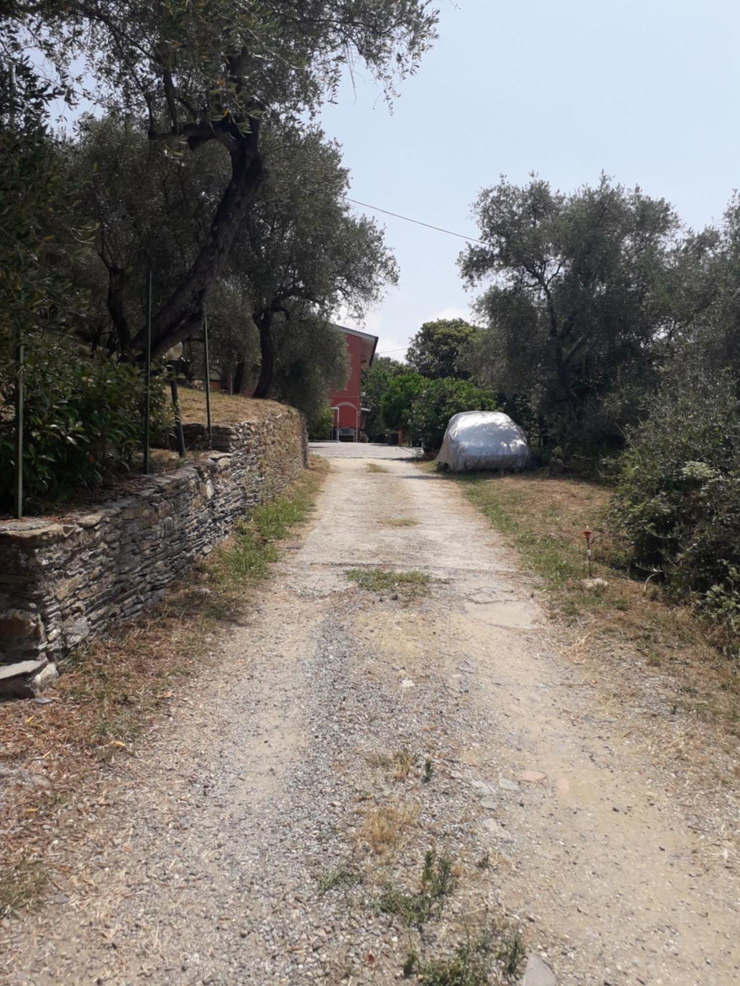 Tigullio Vacations Panoramica Apartments Lavagna Eksteriør billede