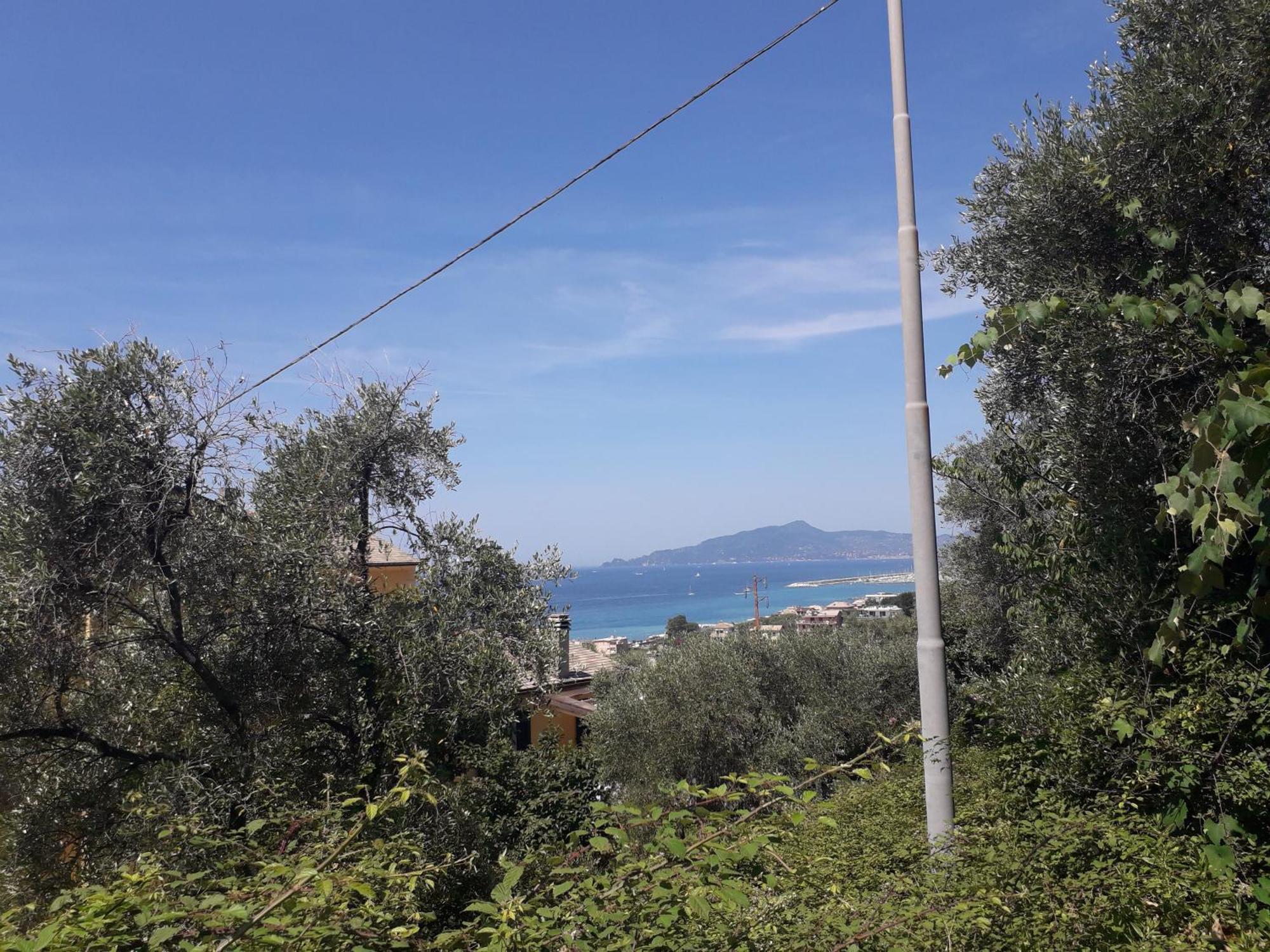 Tigullio Vacations Panoramica Apartments Lavagna Eksteriør billede
