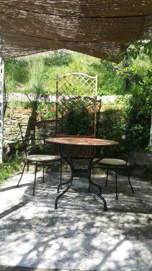 Tigullio Vacations Panoramica Apartments Lavagna Eksteriør billede